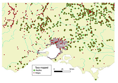 If you map mayfly records and chironomid records from the atlas of living australia